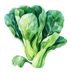 vegetable - Bok choy is also high in dietary fiber, which supports digestive health and helps maintain a healthy weight. - obrazy, fototapety, plakaty