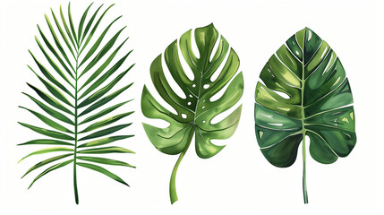 tropical leaves