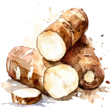 vegetable - Burdock root is a nutritious vegetable that comes from the burdock plant, scientifically known as Arctium lappa.