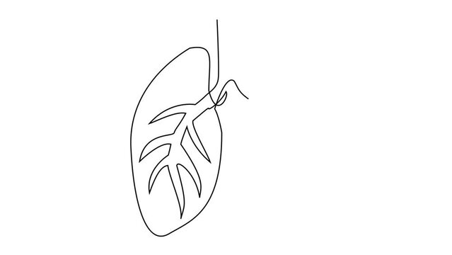 Self drawing line animation Heart lung continuous line concept