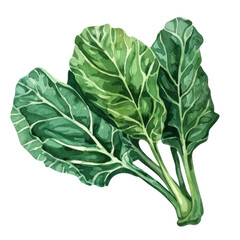 vegetable - collard greens are low in calories but rich in vitamins, minerals, and antioxidants