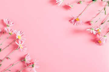 Fototapeta na wymiar Beautiful flowers composition. Pink flowers on pastel pink background. Valentines Day, Easter, Birthday, Mother's day. Flat lay, top view, copy space