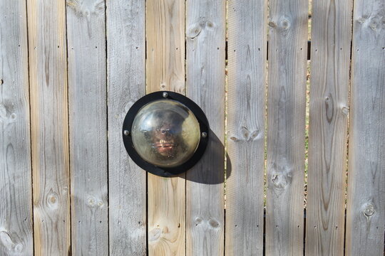 A snarling dog barks through a bubble window in a wooden fence