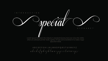 Special  premium luxury elegant alphabet letters and numbers. Elegant wedding typography classic serif font decorative vintage concept. Creative vector illustration