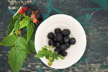 Wild black forest raspberries in a clay bowl