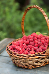 A wicker basket full of ripe raspberries