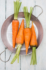 Fresh juicy farm carrot with green top