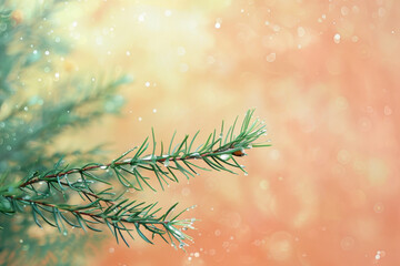 Evergreen Pine Branch with Dew Drops on Warm Bokeh Background
