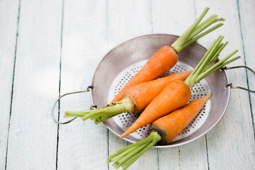 Fresh juicy farm carrot with green top - obrazy, fototapety, plakaty