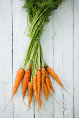 Fresh juicy farm carrot with green top