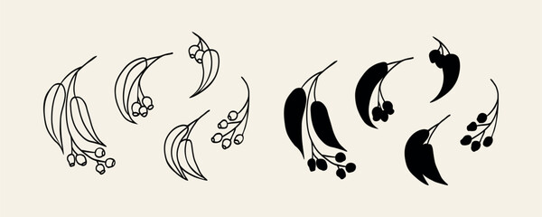 Hand drawn Australian eucalyptus set