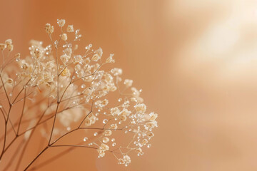 Serene Beige Toned Minimalist Floral Background with Soft Light