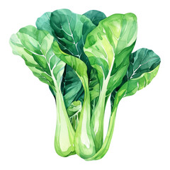 vegetable - Palatable.Green Bok choy .illustration ,.watercolor - obrazy, fototapety, plakaty