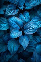 Sapphire Leaves: A Close-Up of Blue Botanical Textures - obrazy, fototapety, plakaty