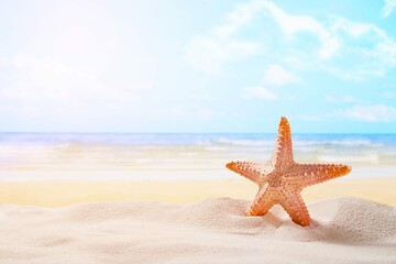 Fototapeta na wymiar starfish-summer-sunny-beach-ocean-background-travel-vacation-concepts