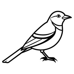 Bird Animal silhouette, white background