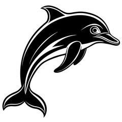 dolphin isolated on white