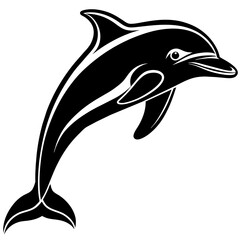 dolphin isolated on white background