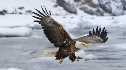 Birds of Prey Soar in the Sky: Eagle and Hawk in Flight