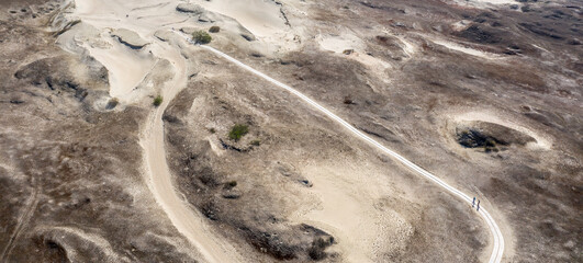 Dead dunes next by Nida - obrazy, fototapety, plakaty
