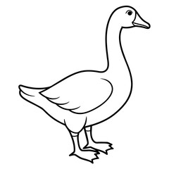 duck on white