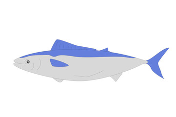 Tuna isolated on white background. Simple Fish vector line art illustration