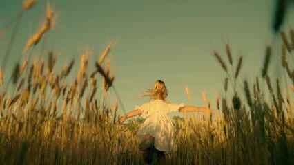 Child girl running through field of wheat, sunset. Happy girl runs with arms raised like airplane...