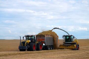 Seasonal silage harvesting. The forage harvester in the field loads the cut and chopped grass into the tractor trailer.