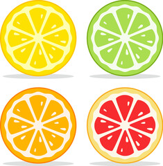 vector lime, lemon, grapefruit and orange slices