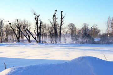 Winter landscape. Frosty winter morning