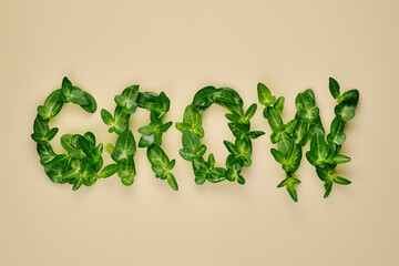 Word Grow made from green leaves on a beige background - 784719259