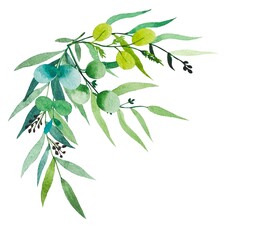 Bouquet of watercolor foliage. Eucalyptus branches. Hand drawn botanical illustration isolated on white background.