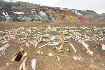 Abandoned whaling station on Deception Island, Antarctica
