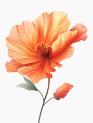  illustration of a vibrant orange hibiscus flower with lush green leaves