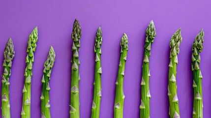 Fresh green asparagus on a purple background. Delicious and healthy vegetables. Vegetarianism.