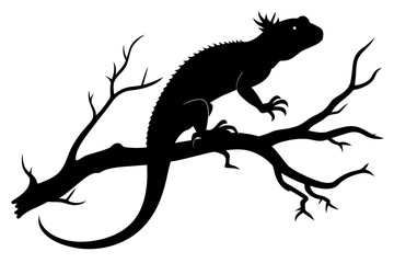 Coated Lizard on a Tree Branch black silhouette on white background