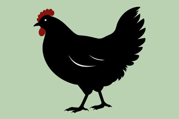 chicken silhouette of vector illustration