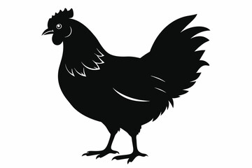 chicken silhouette of vector illustration