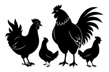 Chicken set of black silhouette vector illustration