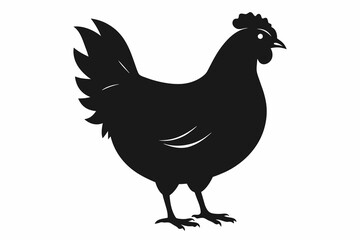 chicken silhouette of vector illustration