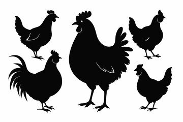 Chicken set of black silhouette vector illustration