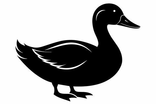 Duck black silhouette vector illustration