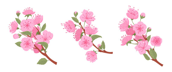 Japanese cherry branches. Spring blooming pink sakura tree, sakura buds and flowers flat vector illustration set. Cute blooming branch collection