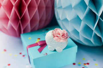 Gender reveal party decorations