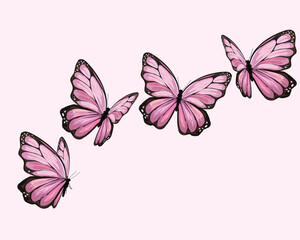 butterfly fronts  art design 