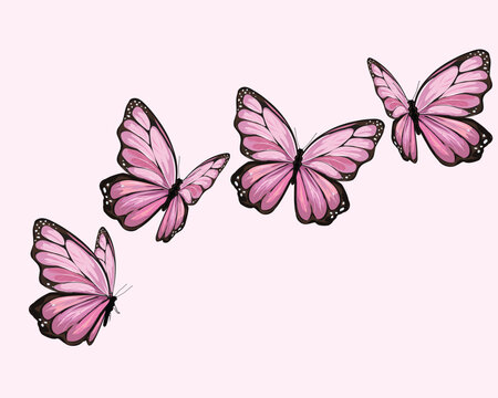Fototapeta butterfly fronts  art design 
