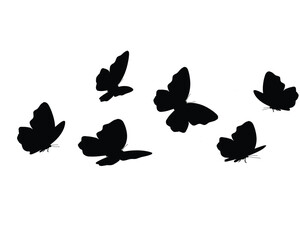 five butterfly black 