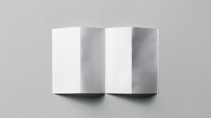 Elegant Brochure Mockup Template: Stunning Half-Folded Booklet, Postcard, Flyer or Brochure Design on a Gray Background