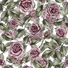 Seamless floral pattern of pink powder roses as watercolor illustration in vintage style for wedding, birthday, valentine's day, mother's day, textile, bedding, packaging, scrapbooking, wrapping, card