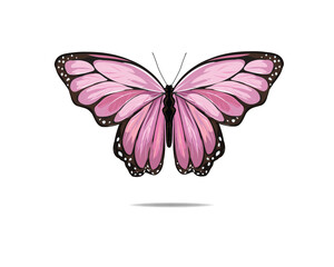 butterfly pink butterly.eps